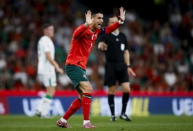 Srbin sudi ključni duel Portugal - Mađarska